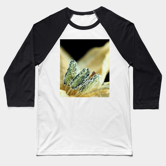 Hot chili pepper flower under the microscope Baseball T-Shirt by SDym Photography